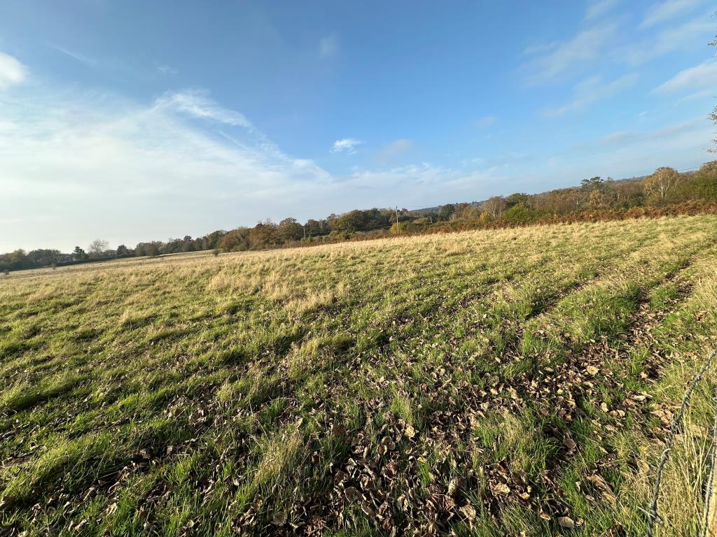 Lot: 6 - ONE ACRE OF FREEHOLD LAND - Freehold Land